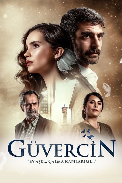 Güvercin : 1.Sezon 12.Bölüm