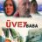 Üvey Baba : 1.Sezon 94.Bölüm izle