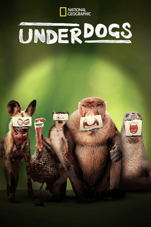 Underdogs : 1.Sezon 3.Bölüm