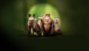 Underdogs izle
